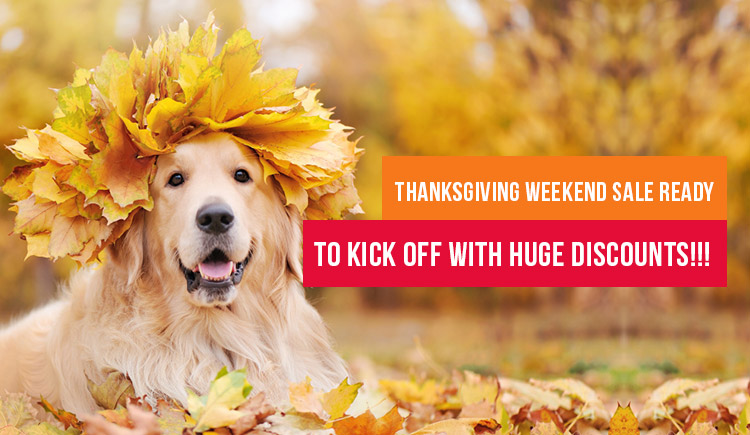 Thanksgiving Weekend Sale