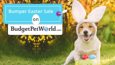 BPW-Bumper-Easter-Sale