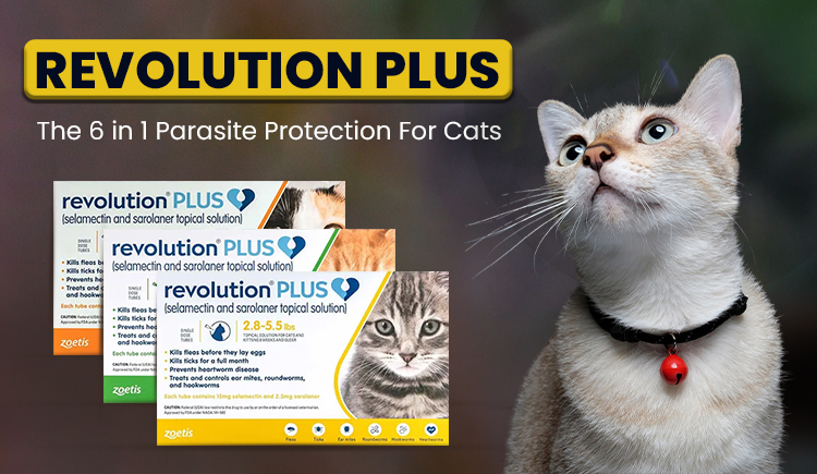 revolution-plus-for-cats-the-6-in-1-parasite-protection