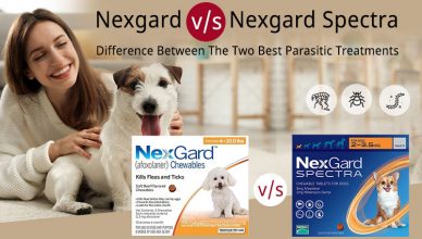 Nexgard v/s Nexgard Spectra-Difference between the Two Best Parasitic Treatments