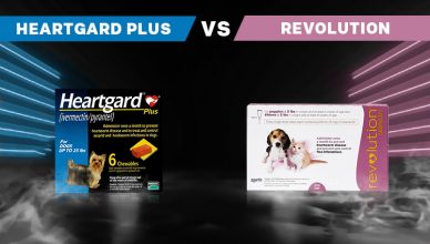 Heartgard Plus VS Revolution