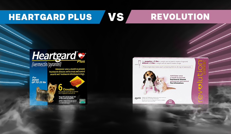 Heartgard Plus VS Revolution