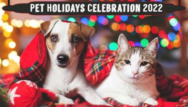 Pet Holidays Celebration 2022