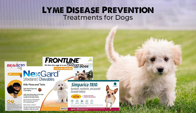 Lyme-disease-prevention