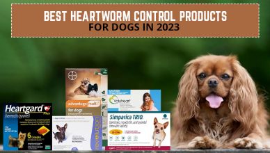 Best Heartworm Control Products
