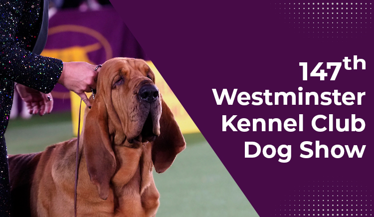 Westminster Kennel Club Dog Show