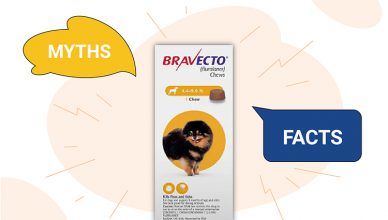 Myths & Facts about Bravecto