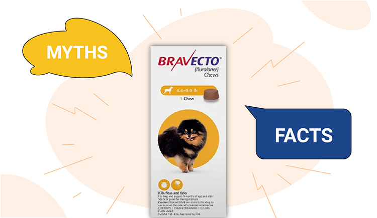 Myths & Facts about Bravecto