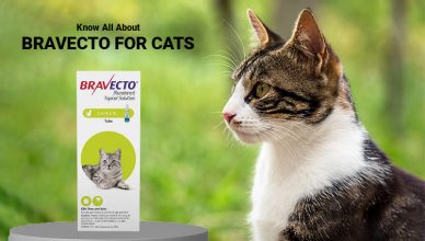 Bravecto for Cats