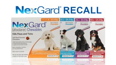 Informazioni su Nexgard, richiamo e recensioni