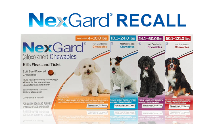 Informazioni su Nexgard, richiamo e recensioni