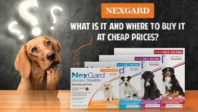 where-to-get-nexgard-at-the-cheapest-prices