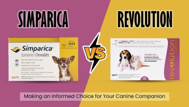 simparica-vs-revolution-for-dogs
