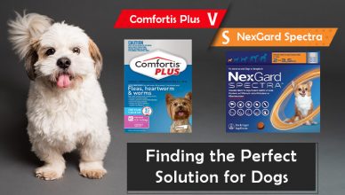 Comfortis Plus vs. NexGard Spectra