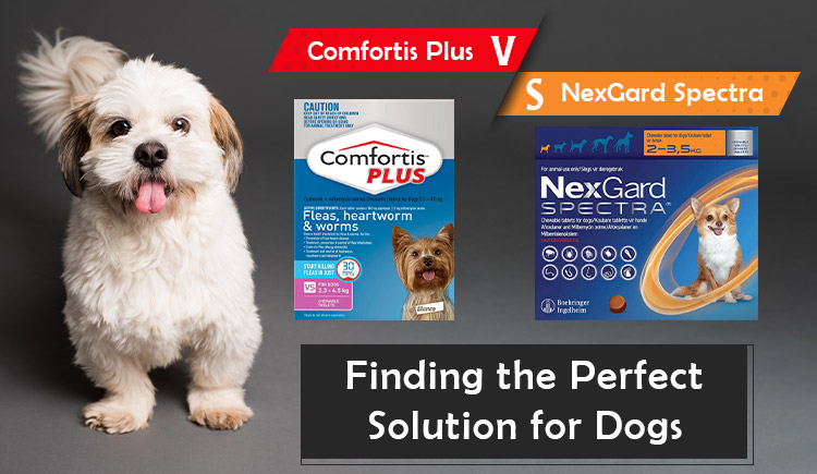 Comfortis Plus vs. NexGard Spectra
