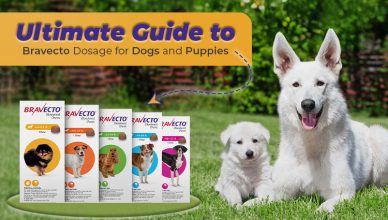 Guida completa al dosaggio di Bravecto per cani e cuccioli