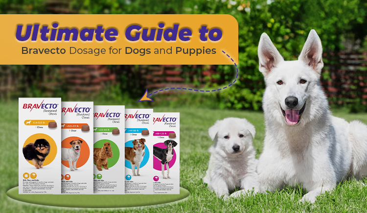 Guida completa al dosaggio di Bravecto per cani e cuccioli