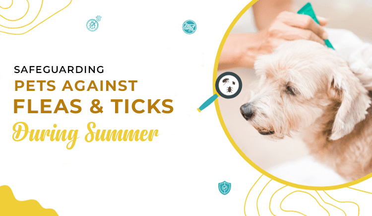 https://www.budgetpetworld.com/blog/4-steps-to-get-rid-of-fleas-from-your-pet-and-household-environment/