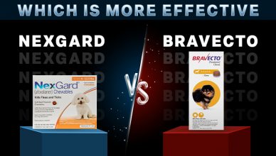 which-is-more-effective-nexgard-or-bravecto