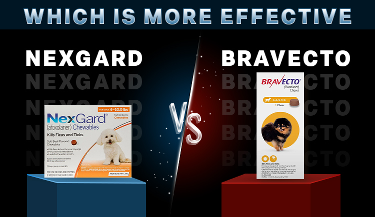 which-is-more-effective-nexgard-or-bravecto
