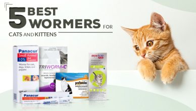5-best-wormers-for-cats-and-kittens