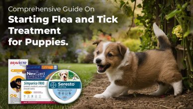 comprehensive-guide-on-starting-flea-and-tick-treatment-for-puppies