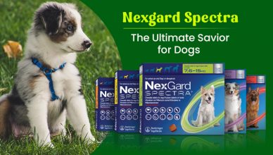 nexgard-spectra-the-ultimate-savior-for-dogs