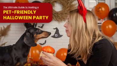 the-ultimate-guide-to-hosting-a-pet-friendly-halloween-party