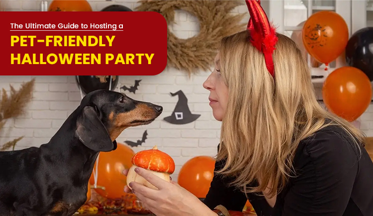 the-ultimate-guide-to-hosting-a-pet-friendly-halloween-party