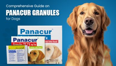 comprehensive-guide-on-panacur-granules-for-dogs