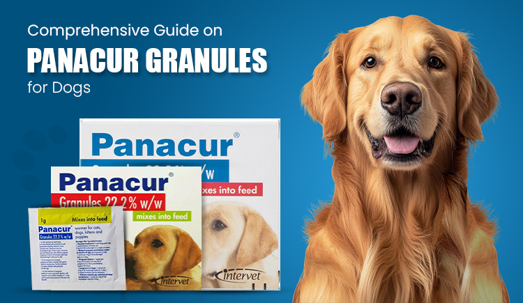 comprehensive-guide-on-panacur-granules-for-dogs