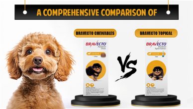 a-comprehensive-comparison-of-bravecto-chewables-vs-bravecto-topical