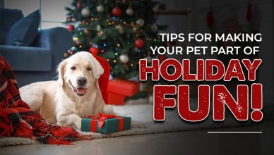 tips-for-making-your-pet-part-of-holiday-fun