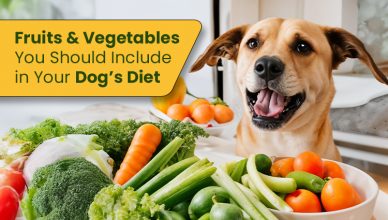 fruits-vegetables-you-should-include-in-your-dogs-diet