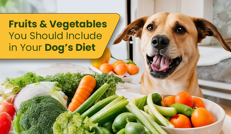 fruits-vegetables-you-should-include-in-your-dogs-diet