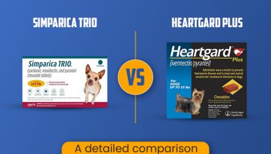 simparica-trio-vs-heartgard-plus-a-detailed-comparison