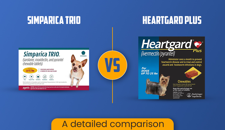simparica-trio-vs-heartgard-plus-a-detailed-comparison