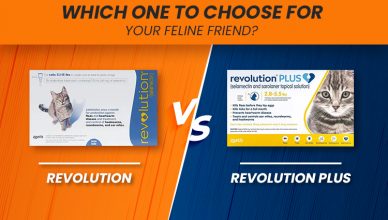 revolution-vs-revolution-plus-which-one-to-choose-for-your-feline-friend