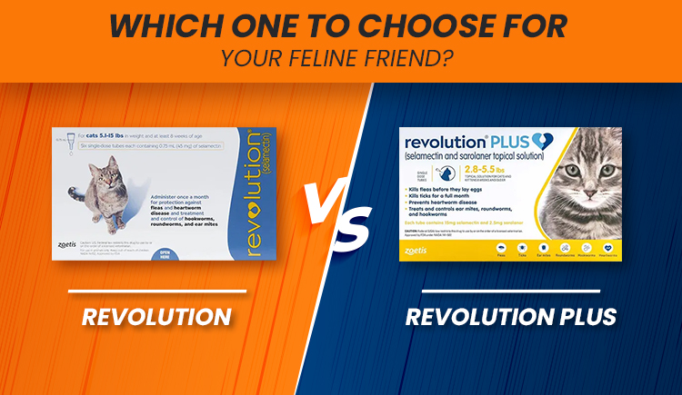 revolution-vs-revolution-plus-which-one-to-choose-for-your-feline-friend