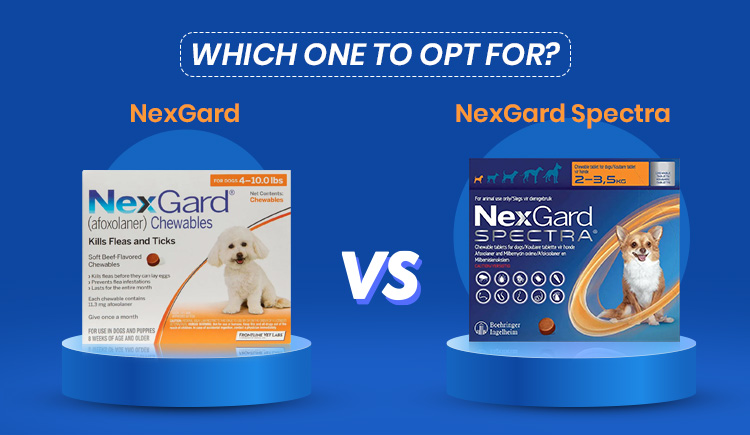 nexgard-vs-nexgard-spectra-which-one-to-opt-for