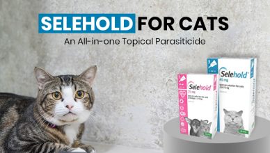 selehold-for-cats-an-all-in-one-topical-parasiticide