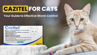 cazitel-for-cats