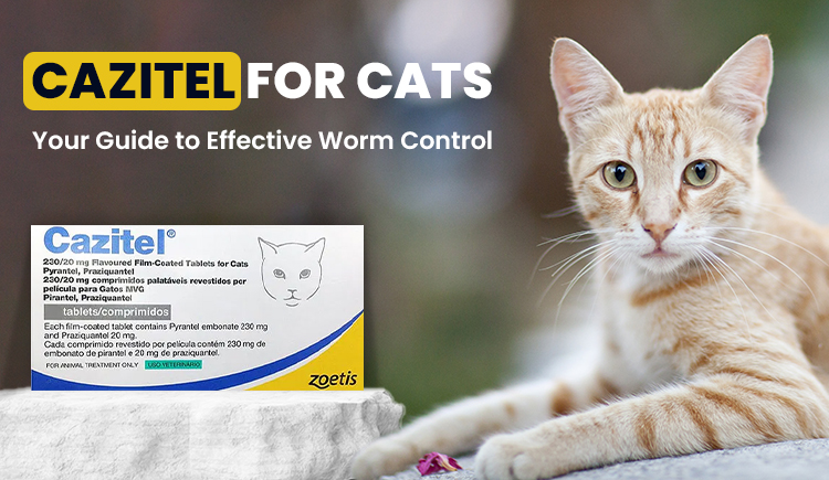 cazitel-for-cats