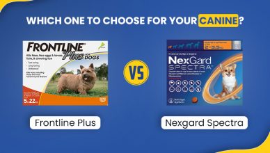frontline-plus-vs-nexgard-spectra-which-one-to-choose-for-your-canine