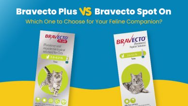 bravecto-plus-vs-bravecto-spot-on-which-one-to-choose-for-your-feline-companion