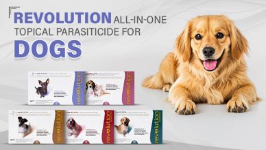 revolution--all-in-one-topical-parasiticide-for-dogs