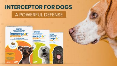 interceptor-for-dogs-a-powerful-defense