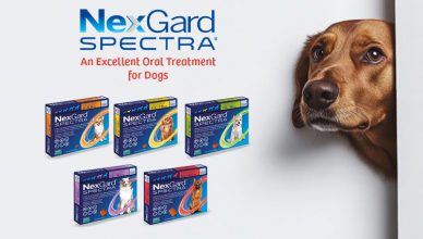 nexgard-spectra-an-excellent-oral-treatment-for-dogs