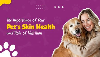 the-importance-of-your-pets-skin-health-and-role-of-nutrition
