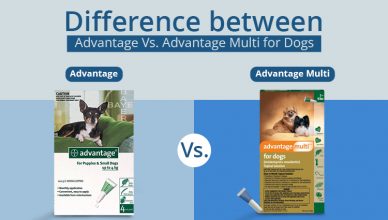 advantage-or-advantage-multi-which-one-to-choose-for-your-dog